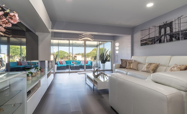 living room with dark hardwood / wood-style floors