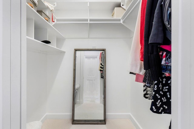 view of spacious closet