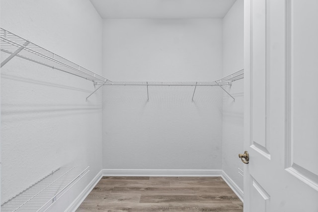 spacious closet featuring hardwood / wood-style flooring