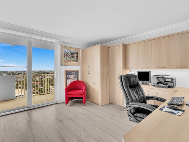 office area with crown molding, light hardwood / wood-style flooring, and expansive windows