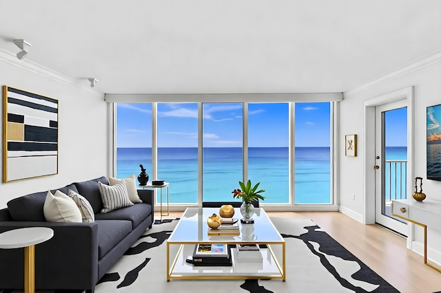 3000 S Ocean Blvd Unit 1504, Boca Raton, FL 33432 - living room featuring ornamental molding, wood finished floors, and plenty of natural light