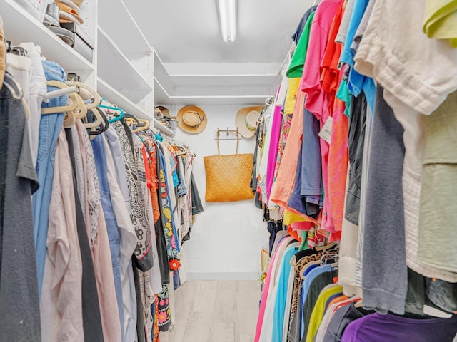 spacious closet with light wood-type flooring