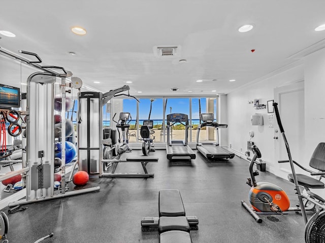 gym with floor to ceiling windows