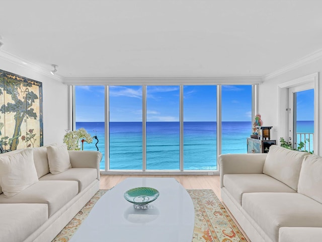 living room featuring crown molding, light hardwood / wood-style flooring, a healthy amount of sunlight, and a water view