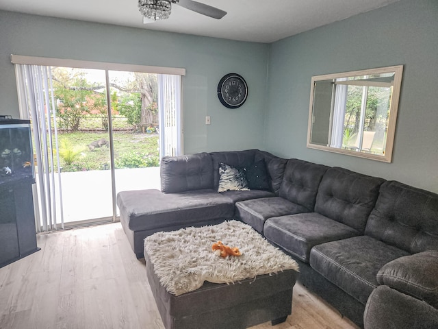 living room featuring ceiling fan and light wood-type flooring