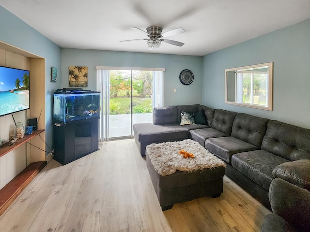 living room with ceiling fan and light hardwood / wood-style floors