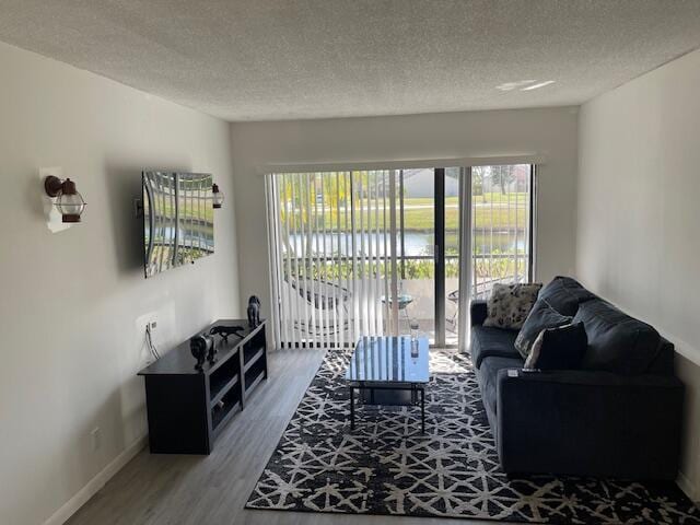 living room with hardwood / wood-style floors and a textured ceiling