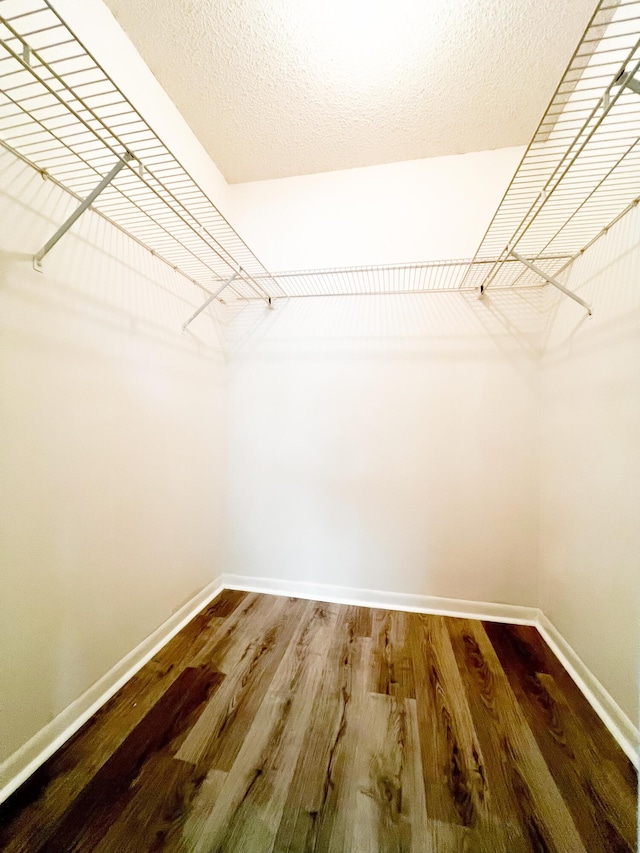 walk in closet featuring wood-type flooring