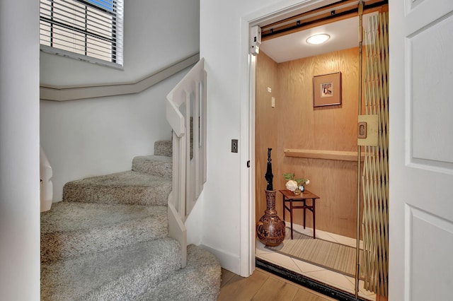 stairs with hardwood / wood-style flooring