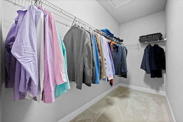 spacious closet featuring carpet floors