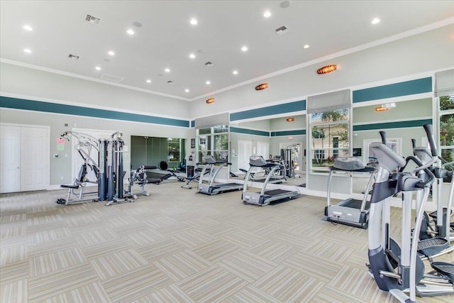 gym featuring plenty of natural light, light colored carpet, a towering ceiling, and ornamental molding