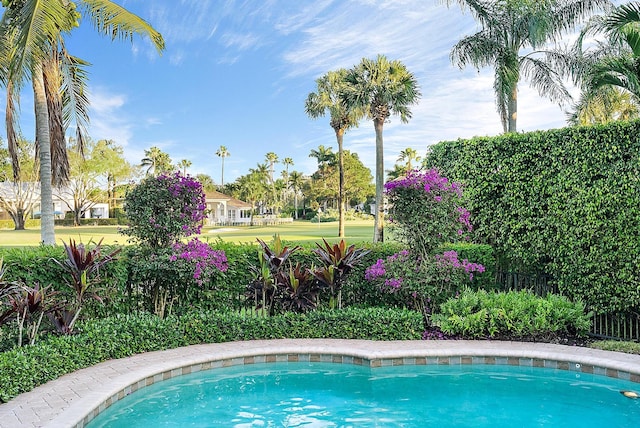 view of swimming pool featuring a lawn