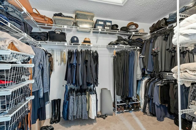 walk in closet featuring carpet floors