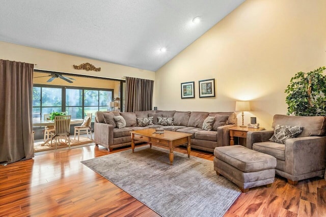 living room with wood-type flooring, high vaulted ceiling, and a textured ceiling