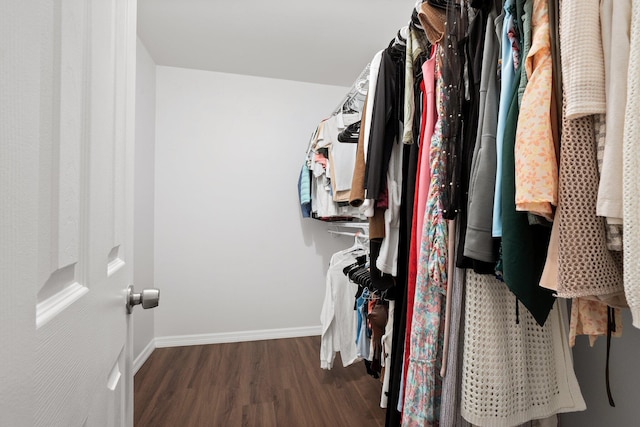 walk in closet with dark hardwood / wood-style flooring