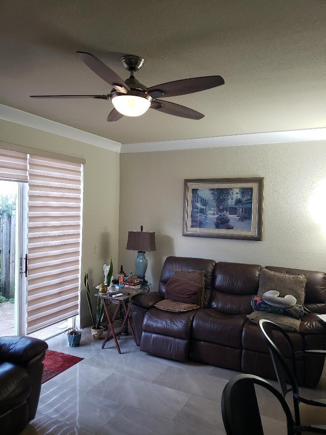 living room with ceiling fan and crown molding