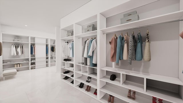 view of spacious closet