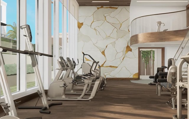 workout area with hardwood / wood-style floors