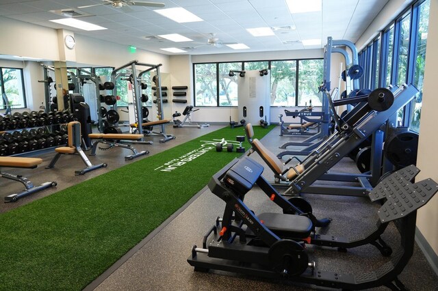 gym with a paneled ceiling and ceiling fan