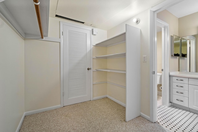 spacious closet featuring light colored carpet