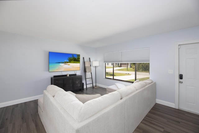 living room with dark wood-type flooring