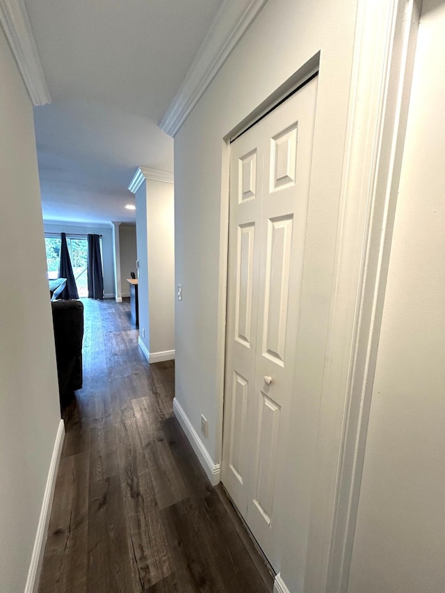 hall with crown molding and dark hardwood / wood-style floors