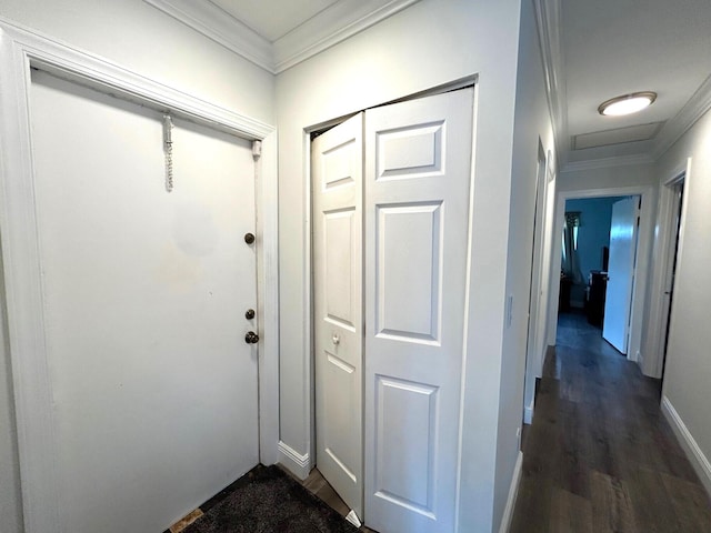 hallway featuring crown molding and dark wood-type flooring