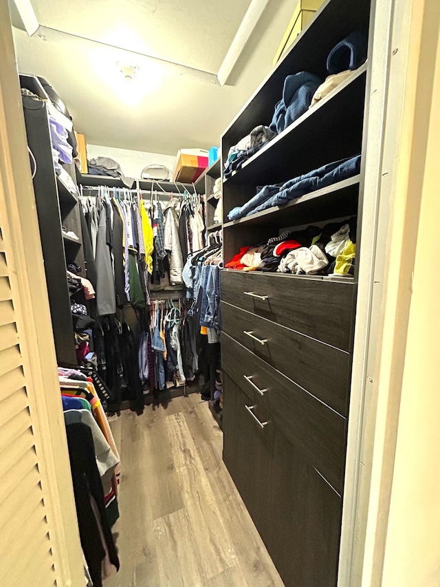 walk in closet with wood-type flooring