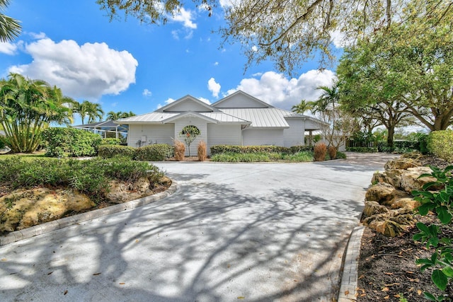 view of front of home featuring metal roof, driveway, and a standing seam roof