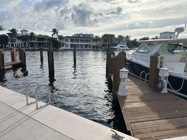 dock area with a water view