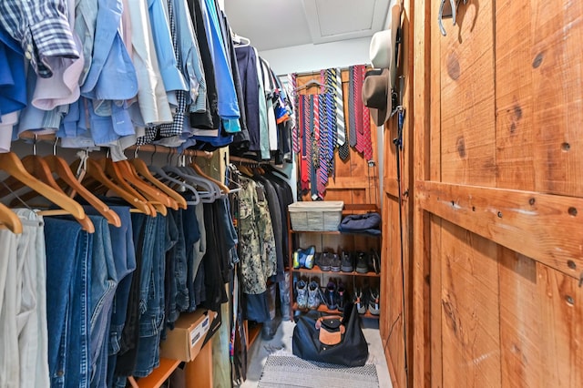 view of walk in closet