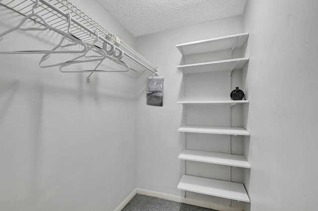 spacious closet with carpet flooring