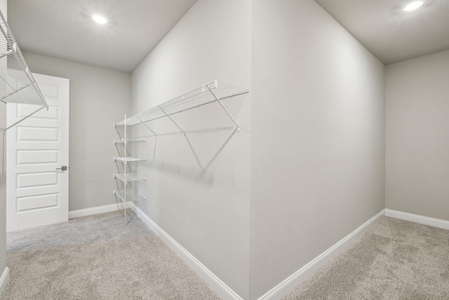 spacious closet featuring carpet