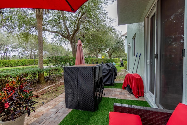 view of yard featuring a patio