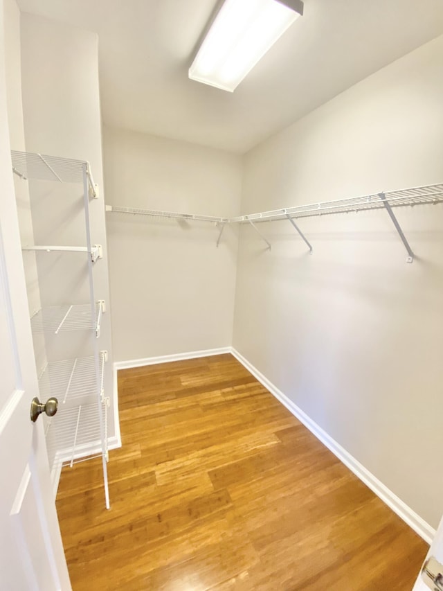 spacious closet featuring wood-type flooring