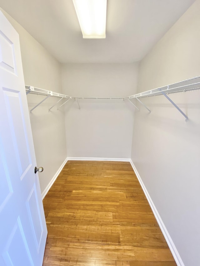 walk in closet featuring hardwood / wood-style flooring