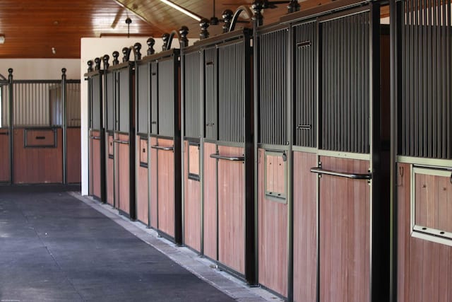 view of horse barn