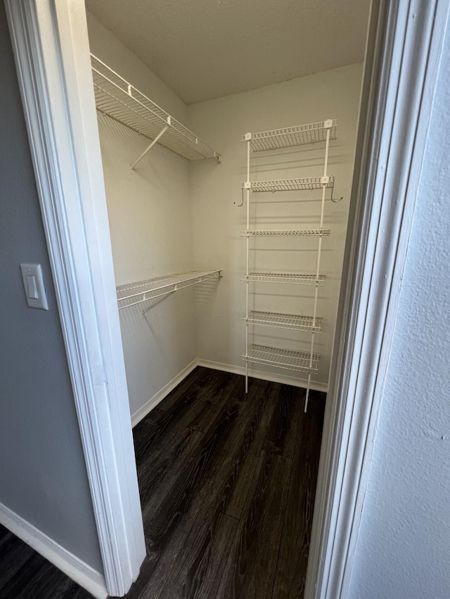 spacious closet with dark wood-type flooring