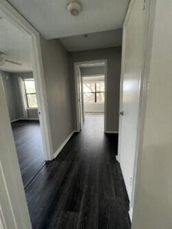 corridor featuring a healthy amount of sunlight and dark wood-type flooring