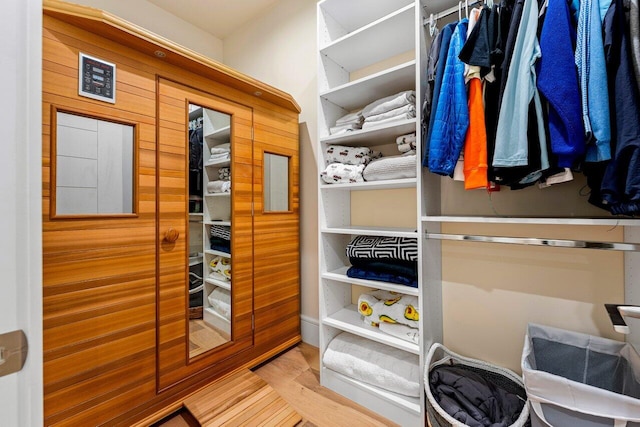 spacious closet featuring wood-type flooring