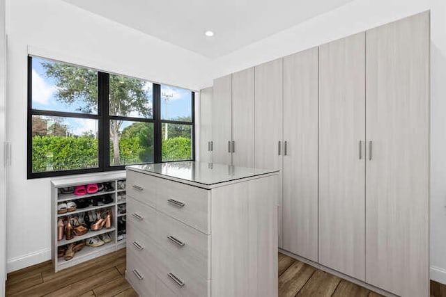 spacious closet with dark wood-type flooring