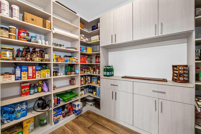 view of pantry