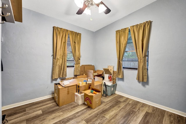 interior space featuring ceiling fan and wood-type flooring