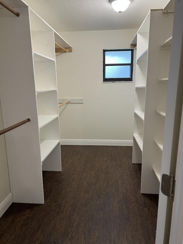 walk in closet with dark hardwood / wood-style flooring