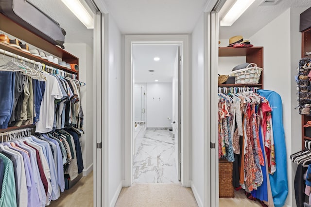 view of walk in closet