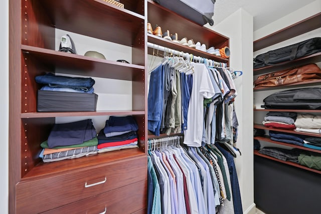 view of walk in closet