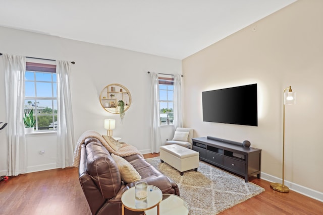 living room with hardwood / wood-style flooring