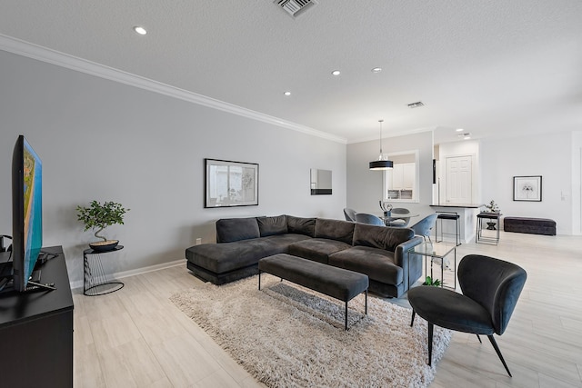 living room with crown molding, light hardwood / wood-style floors, and a textured ceiling