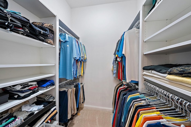 spacious closet with carpet