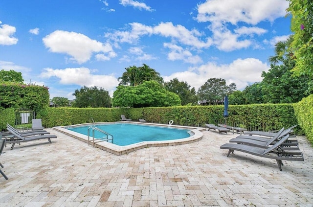 view of pool with a patio area